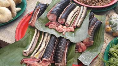 Schlangen-Fleisch braten