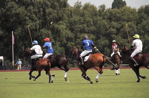 Freizeitaktivitäten in Hamburg | Polo-Spiel anschauen