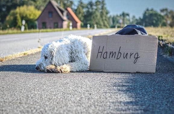 Freizeitaktivitäten in Hamburg | Gedicht schreiben